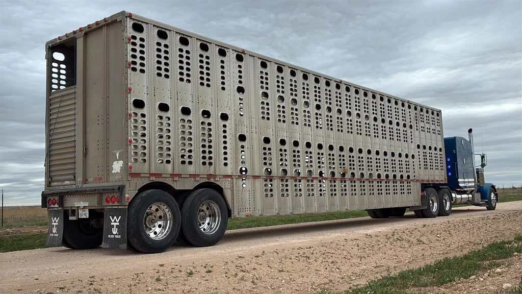 Livestock trailer with polished aluminum wheels